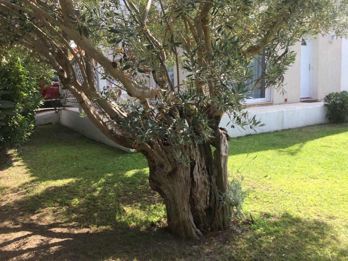 La Maison De Virginie Saint-Cyprien  Exterior photo